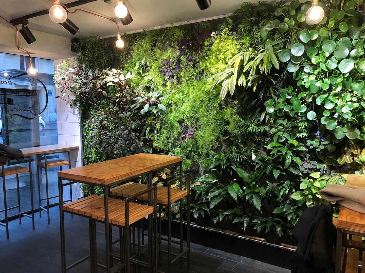 mur végétal dans un restaurant de fresh food à Paris