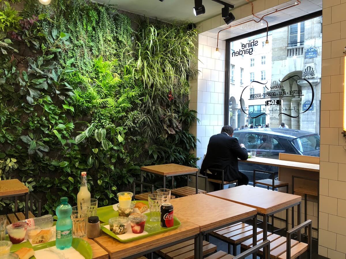 prendre son déjeuner à côté d'un mur végétal