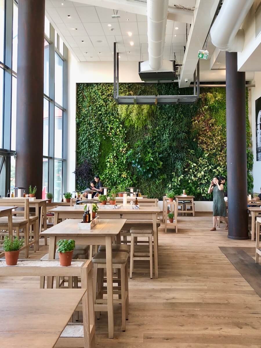 fond végétal naturel dans un restaurant