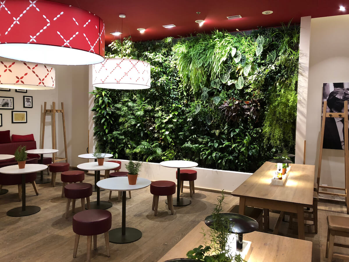 Restaurant vapiano avec son mur vegetal