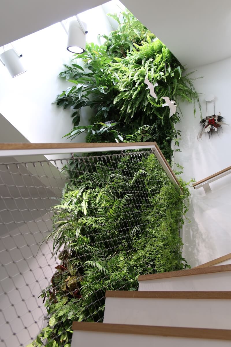 mur végétal à côté d'escalier dans une maison de particulier à Issy-les-Moulineaux