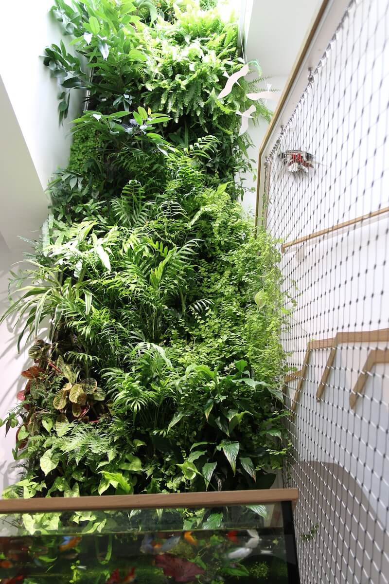une maison de particulier avec un Mur Végétal de 7m de haut à côté d'un escalier