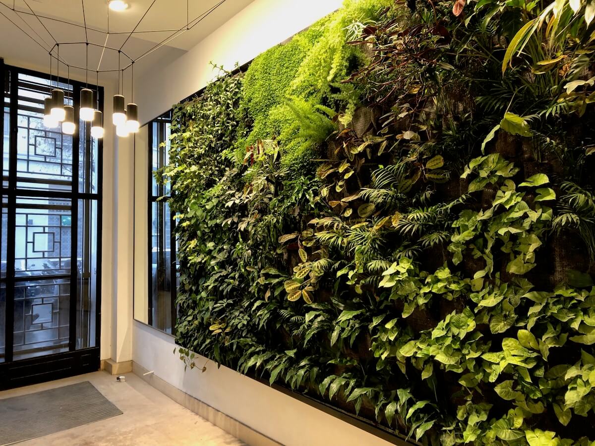mur végétalisé dans un hall d'immeuble