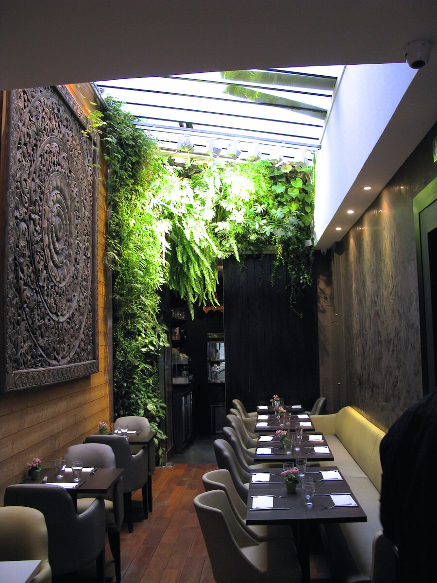mur vegetal naturel dans un restaurant thailandais