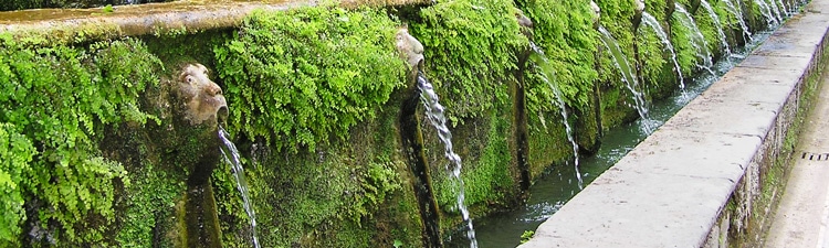 arrosage-mur-végétal arrosage du mur végétal