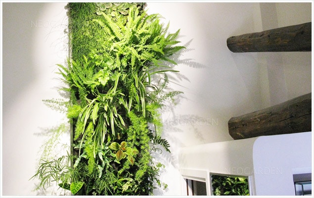 mur-vegetal-interieur-poutres