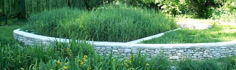 jardin-ecologique-assainissement La Phyto-épuration ou l’assainissement par les plantes.