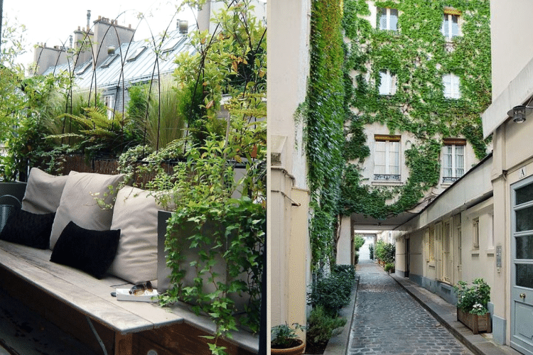 paris-mur-vegetal-terrasse