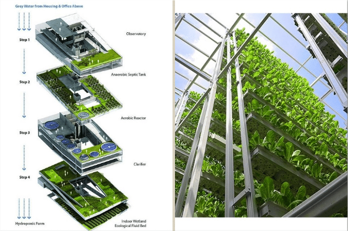urban-farming