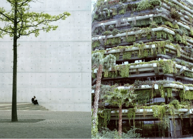 ciment-beton-ville-nature-plantes