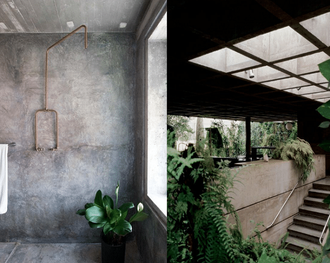 déco-interieur-brut-ciment-beton-plante