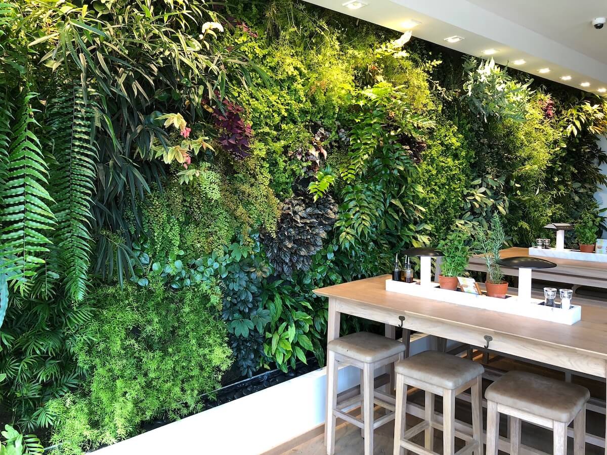 Mur Végétal Naturel dans une enseigne de restauration
