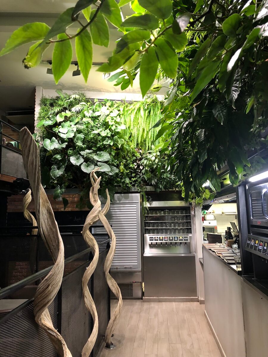 mur vegetal dans un restaurant au dessus des têtes