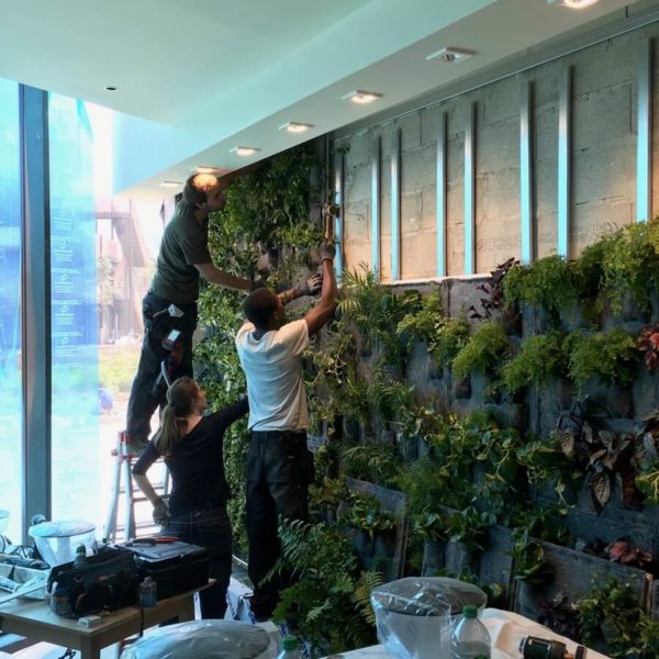 création d'un mur végétal naturel avec des panneaux plant-r