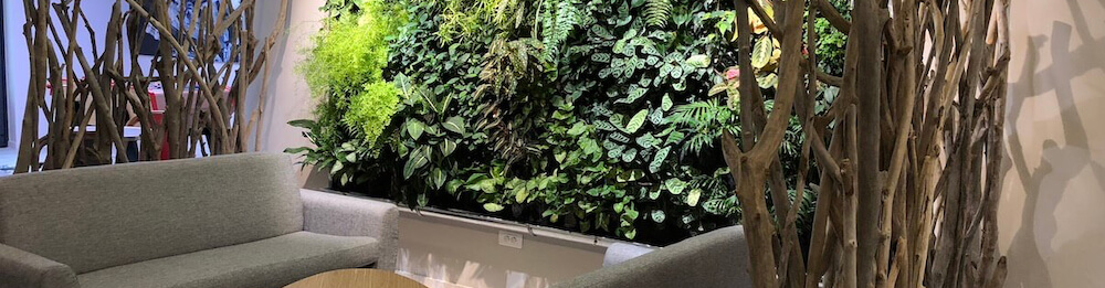 salle de repos, un mur végétalisé au travail