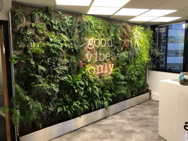 un beau mur végétal installé à l'accueil d'une entreprise