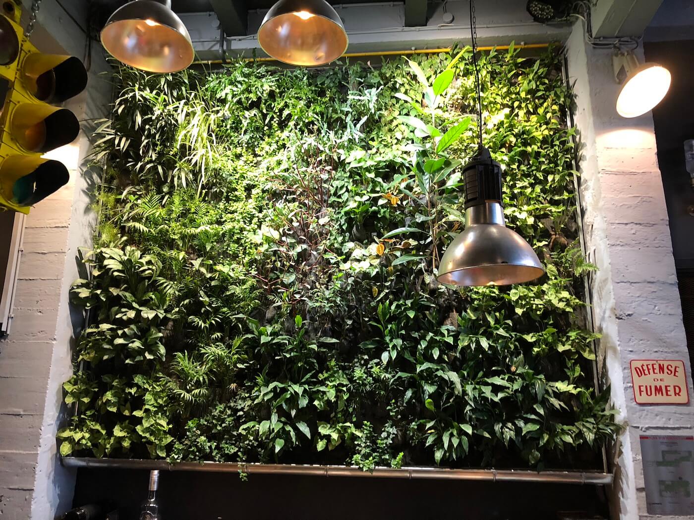 mur végétal que nous avons installé dans un restaurant à la vue des clients