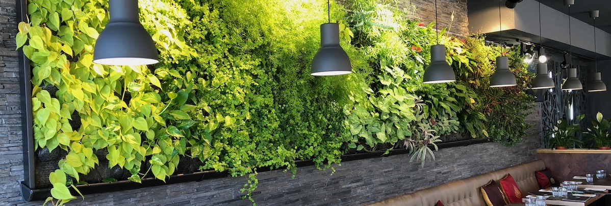 mur végétal que nous avons installé dans un restaurant à la vue des clients