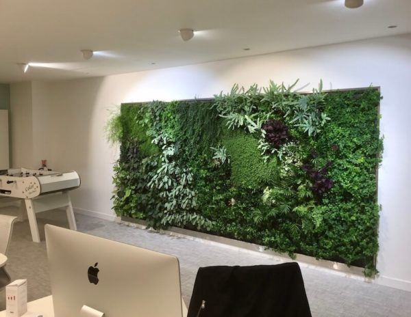 Mur végétal dans la salle de repos d'un bureau près d'un babyfoot