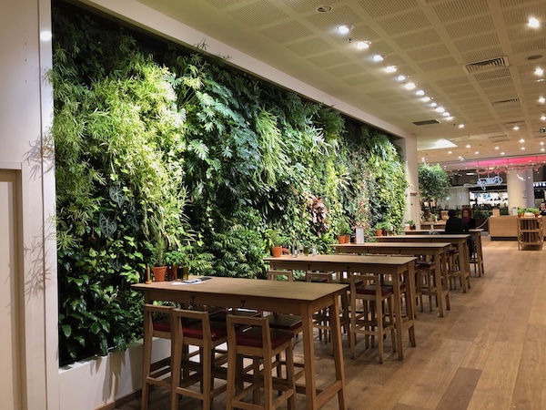 Mur végétal que nous avons installé dans un restaurant à la Défense