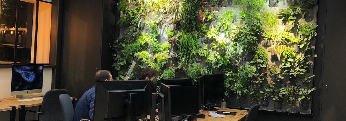 Mur végétal naturel que nous avons installé dans le bureau d'une entreprise, à la vue des personne qui y travaille