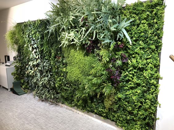 bureaux mur végétal
