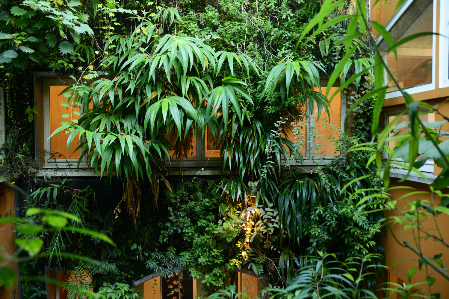 Le mur végétal intérieur - Les jardins du LFZ