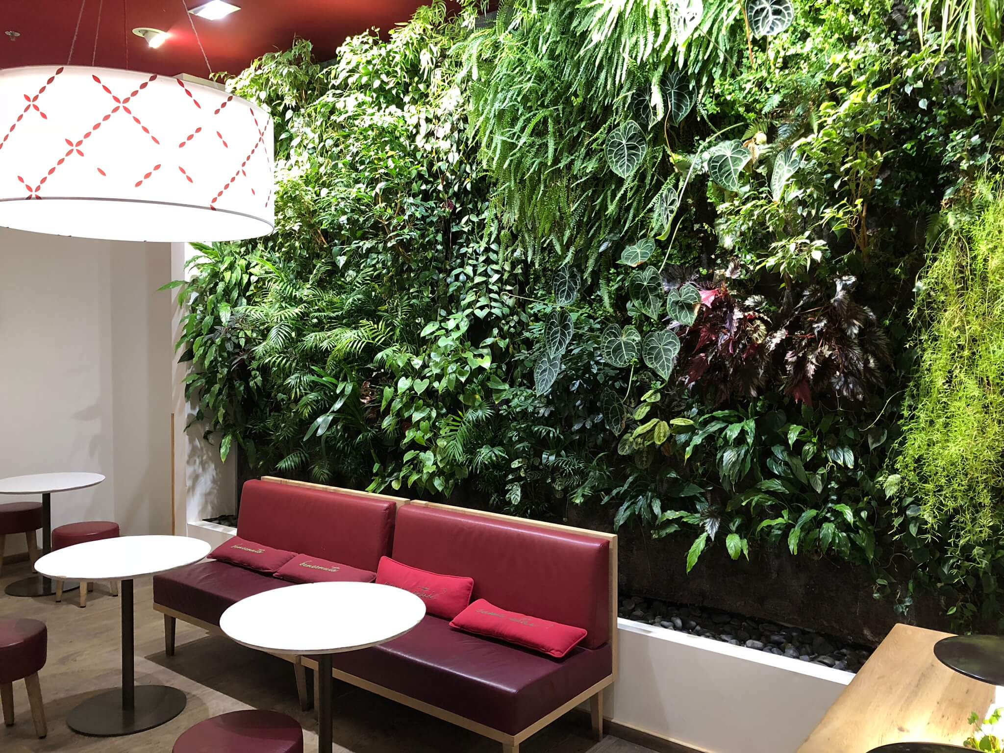 une vue sur un mur des plantes dans un restaurant