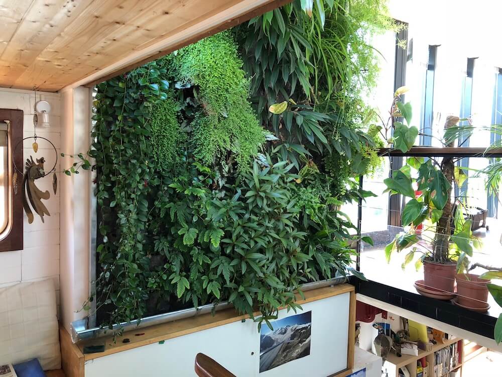 mur végétal intérieur installée dans une maison chez un particulier