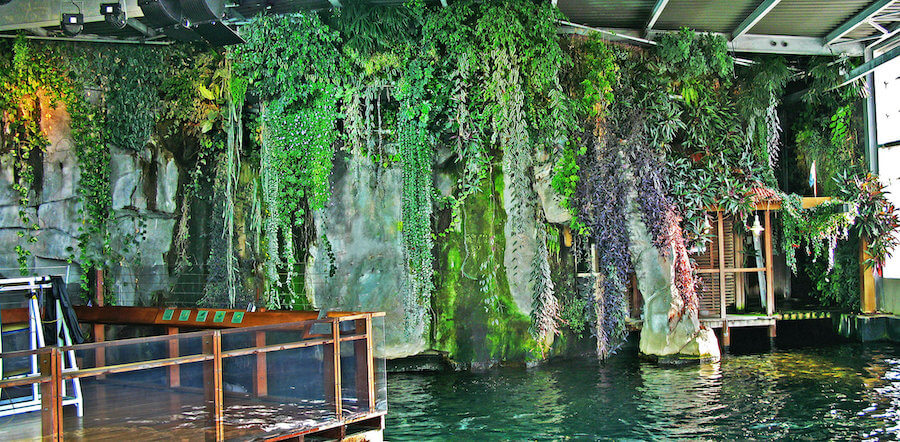 un aquarium Nausicaa avec un mur végétalisé