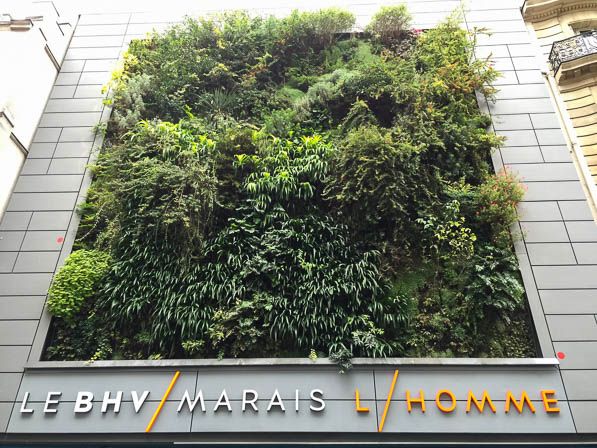 mur végétal facade du BHV