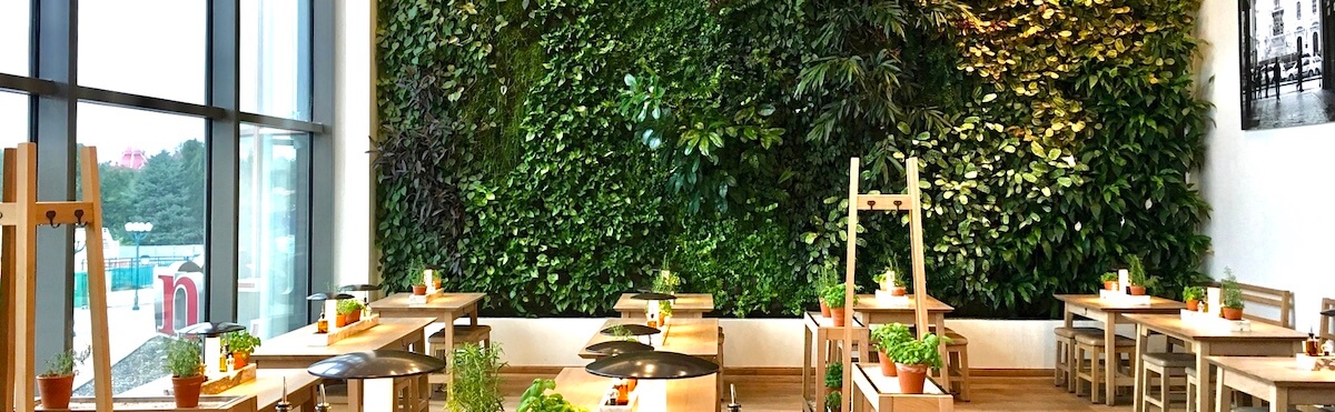 mur vegetal intérieur avec un baie vitré sur le côté