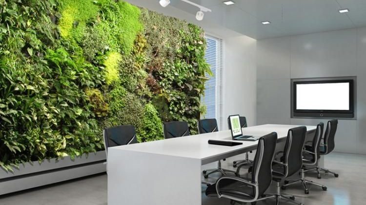 mur végétal pour améliorer la qualité de vie au bureau