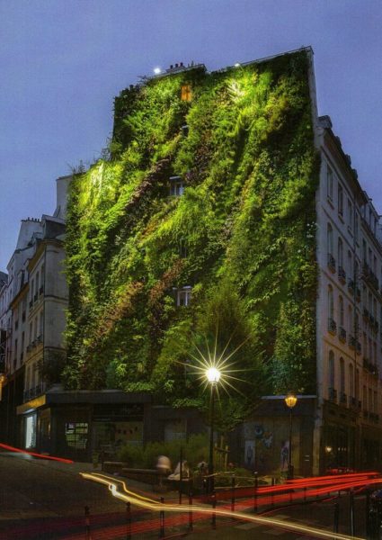mur végétal à Paris : oasis d'aboukir 