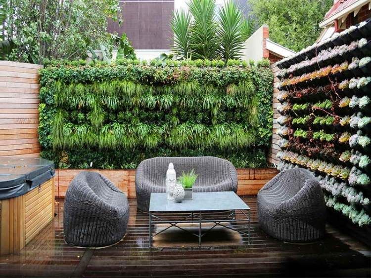 Comment créer facilement un mur végétal pour votre jardin ?