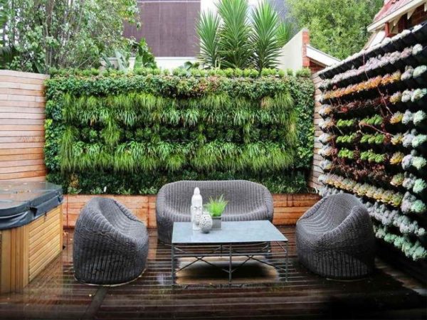 mur végétal sur une terrasse extérieure
