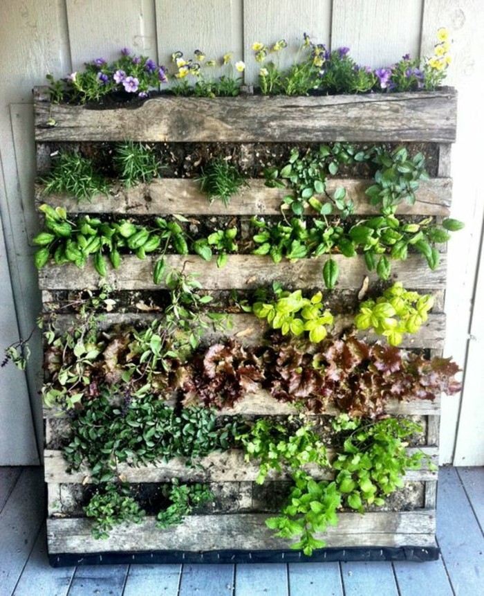 Tout savoir sur le mur végétal extérieur | La Fabrique du Mur Vegetal